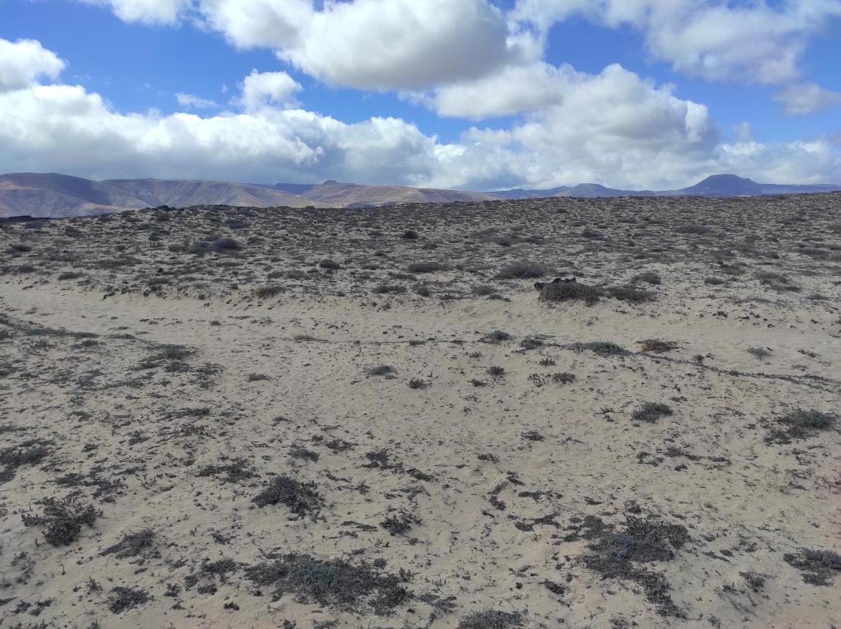 Casa De Los Pajaritos. Charco del Palo Zewnętrze zdjęcie